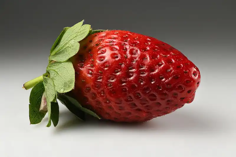 Garden Strawberry