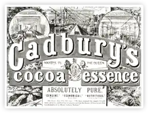 Cadburys Advert