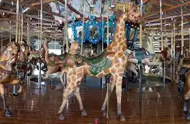 Richland Park Giraffe