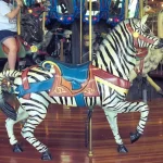 Richland Park Zebra