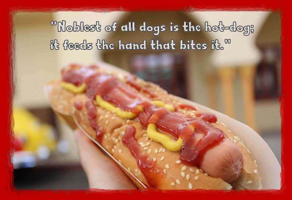 History Of The Hot Dog