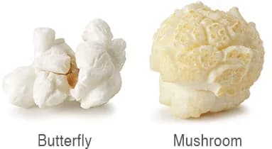 Different Strains Of Popcorn