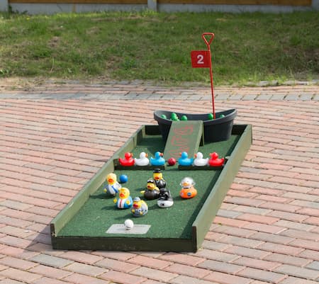 Crazy Golf Hire Ducky Hole