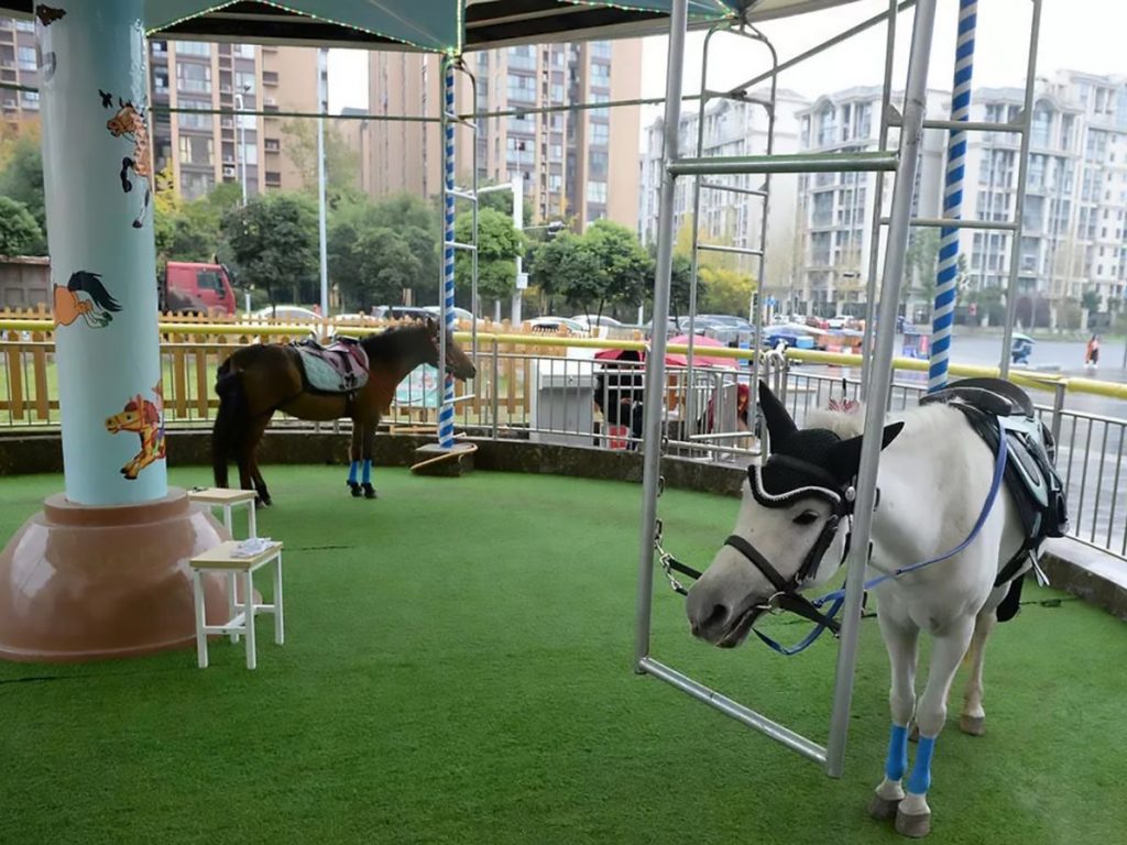 Live horse carousel China