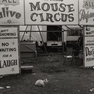 The Mouse Circus sideshows