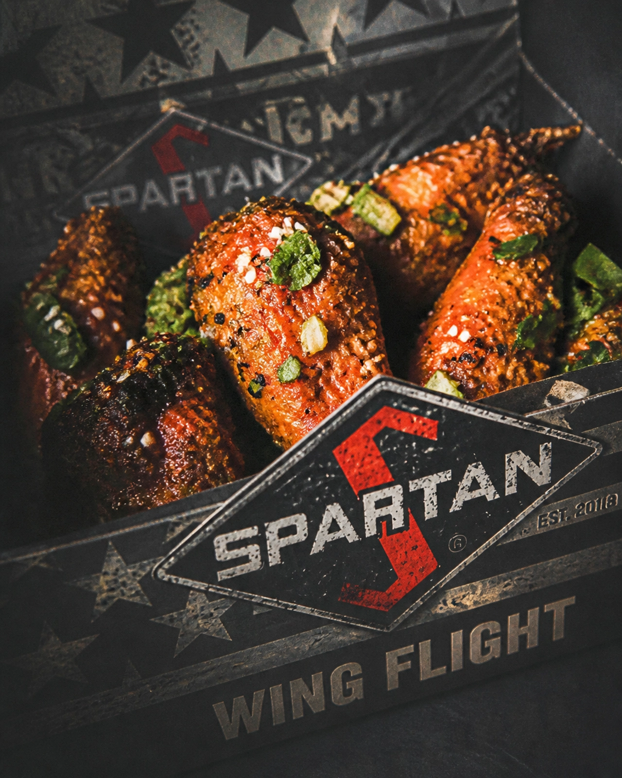 Spartan Wings Spartan Wings